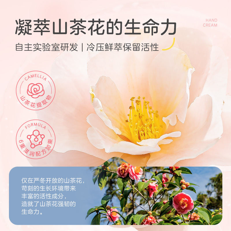 小浣熊儿童柔润护手霜一支装35g+山茶花抑菌洗手液300ml一瓶高清大图