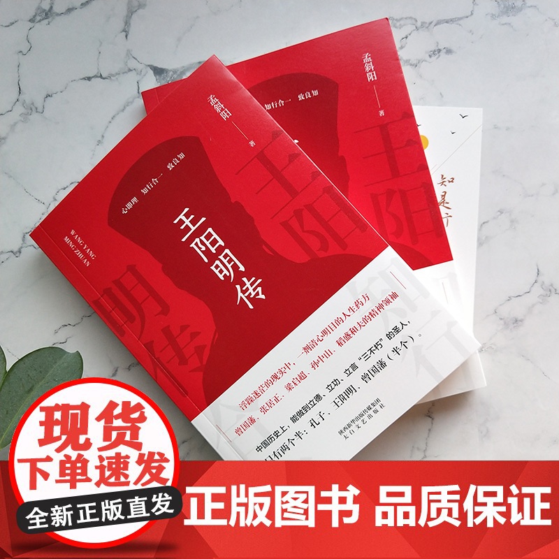 王阳明传 孟斜阳 知行合一的心学智慧 浮躁迷茫的现实中 一剂清心明目的人生药方人生哲学国学经典书籍传习录管理智慧高清大图