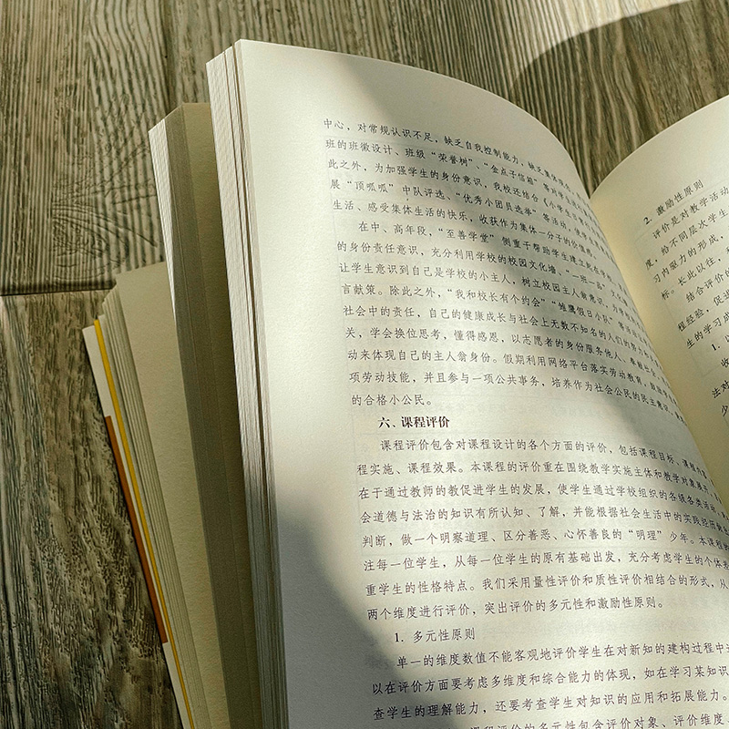 [正版]实践型学科课程设计与实施 课程治理新范式丛书 大单元教学设计和课程纲要 作业创意 学科课程群建设 小学案例高清大图