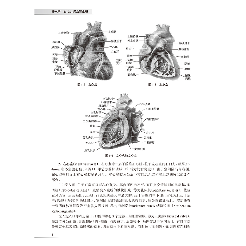 醉染图书临床血压学9787117296700高清大图
