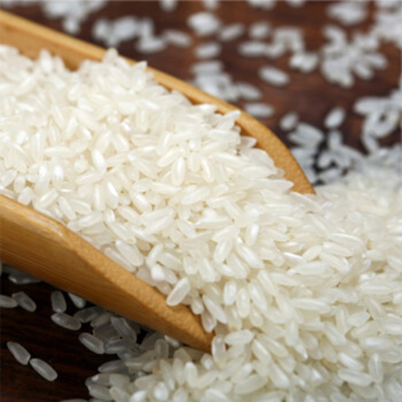 龙稻五常大米京享臻品25kg100袋起订