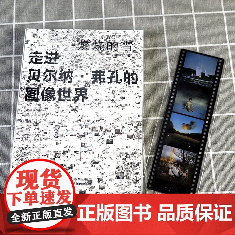 燃烧的雪:走进贝尔纳·弗孔的图像世界 赵欣昕著书籍高清大图