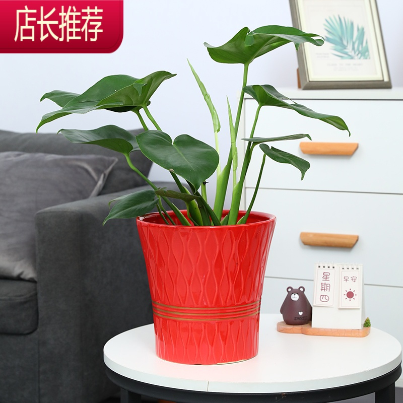 白色修身简约大口径龟背竹白掌绿萝大码绿植陶瓷花盆JING PING花盆容器