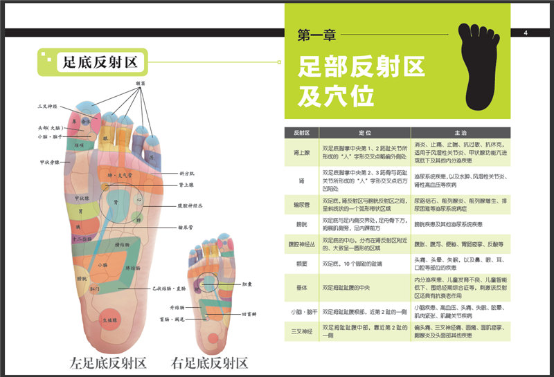 [醉染正版]正版 3D人体反射区图册白金珍藏版 中医养生书 人体穴位按摩书保健养生书 常见病家庭按摩养生书籍高清大图