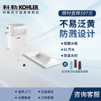 科勒Kohler 巴尔顿蹲便器蹲坑入墙水箱含面板20443T 20443T+77666T-NA+6283T-CP
