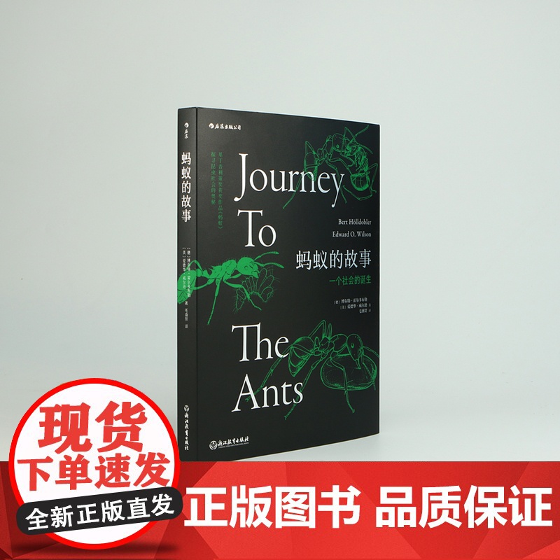 蚂蚁的故事 全方位讲述蚂蚁进化历程 蚂蚁习性 蚂蚁社会诞生 通过蚂蚁社会反观人类社 昆虫科普图鉴高清大图