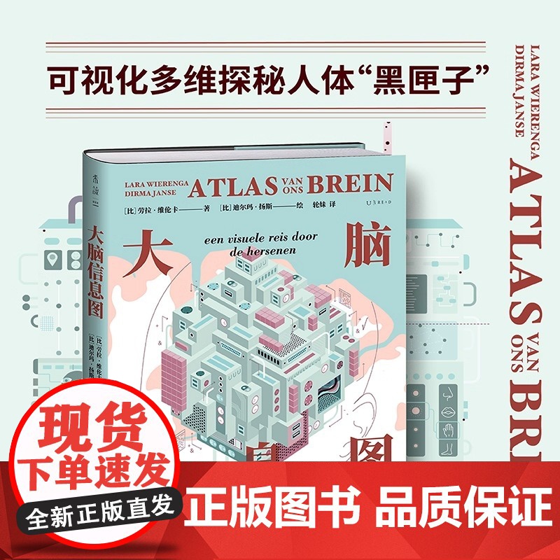 大脑信息图 26个话题300+张图 可视化多维探秘人体“黑匣子”3D版人类大脑运行原理与使用图解科普成长学习 26个话题高清大图