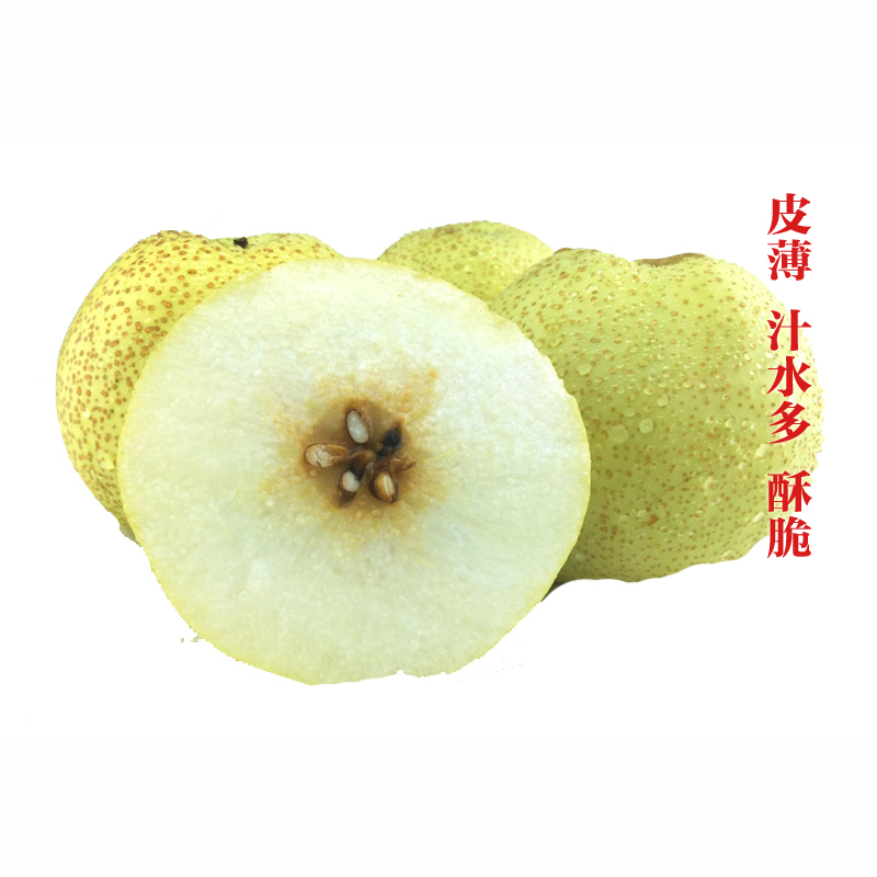 金珠泉 正宗山西平遥青酥梨80-90mm 30斤箱装(10箱起发) DT 82267