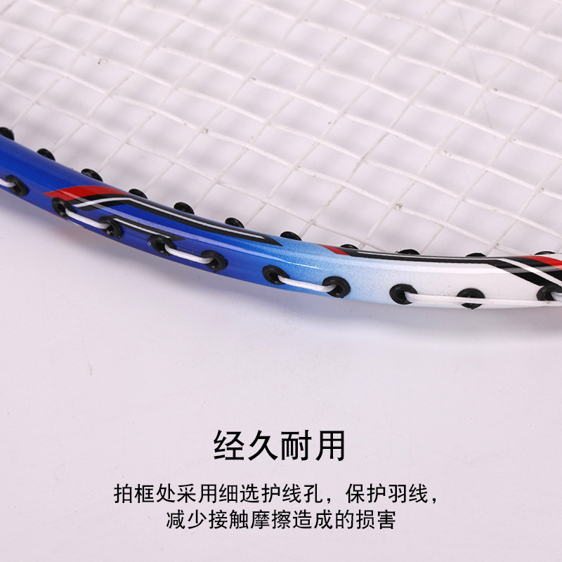 顶力 5860 羽毛球拍(一副装)