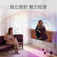 飞利浦(PHILIPS)55英寸4K超高清安卓网络WIFI液晶平板智能电视机 全面屏