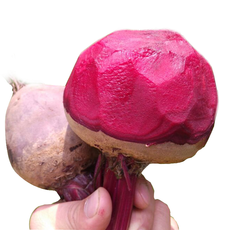 农家新鲜红菜头甜菜根 甜菜头 新鲜蔬菜 2.5kg