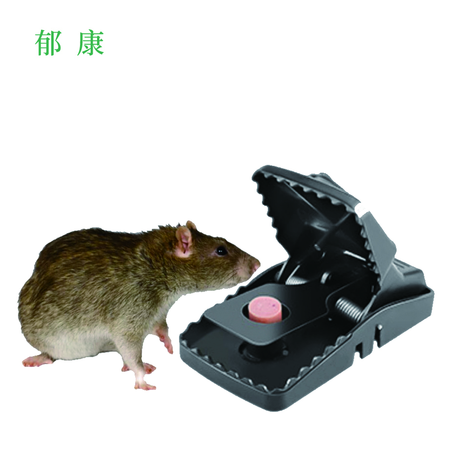 郁强 捕鼠夹 塑料/个高清大图