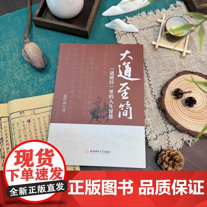 大道至简:《道德经》里的人生智慧 赵世禹著 法学学士白话讲透国学经典 职场处世哲学指南 原文+通解+智慧应用三合一高清大图