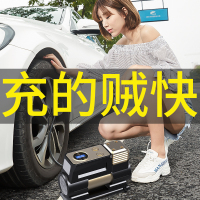 尤利特(UNIT)单30缸机械表车载充气泵YD-380带收纳包+延长管