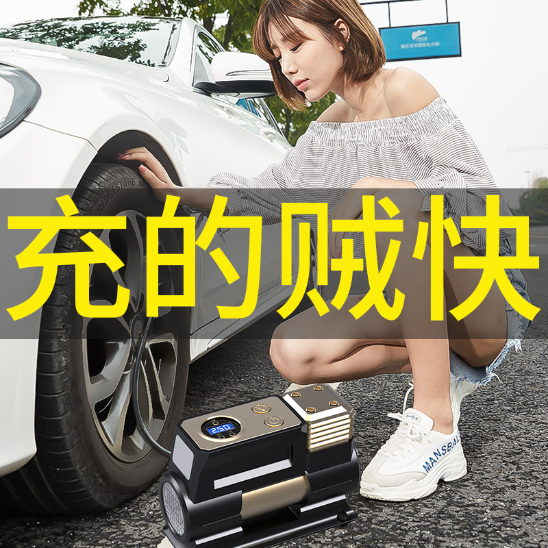 尤利特(UNIT)单30缸机械表车载充气泵YD-380带收纳包+延长管