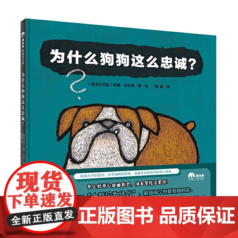 为什么狗狗这么忠诚 魔法象 图画书国 趣味轻科普图画书 斯洛文尼亚国*级图画书作家莉娜布拉普系列代表作 绘本图画书 广高清大图