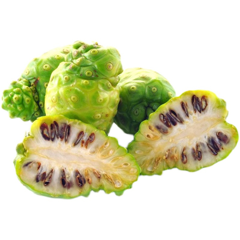 西双版纳精品特级诺丽果干生态原产诺丽果干片诺尼果水果茶100g