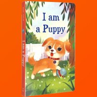 正版英文原版绘本 I am a Puppy 我是一只小狗 I am a bunny同系列 斯凯瑞0-3岁幼儿童英语启