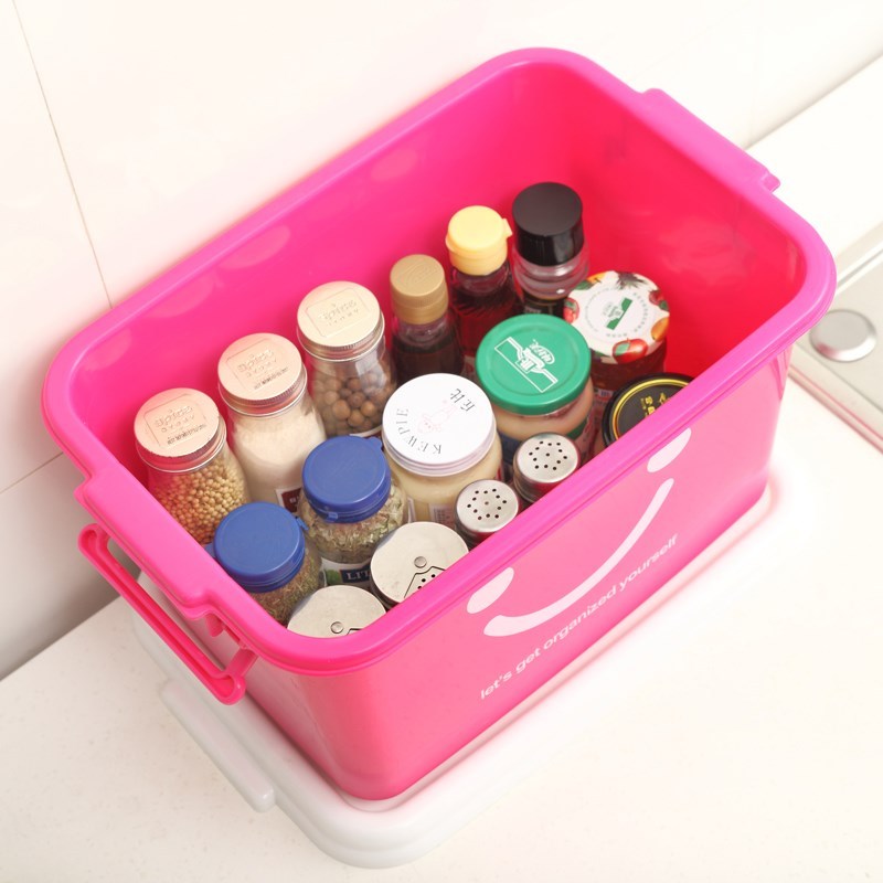 收纳箱小号衣柜塑料储物箱迷你家用小收纳盒手提式有盖小型整理箱