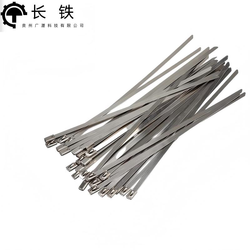 长铁 不锈钢扎带 4.6*450mm 包高清大图
