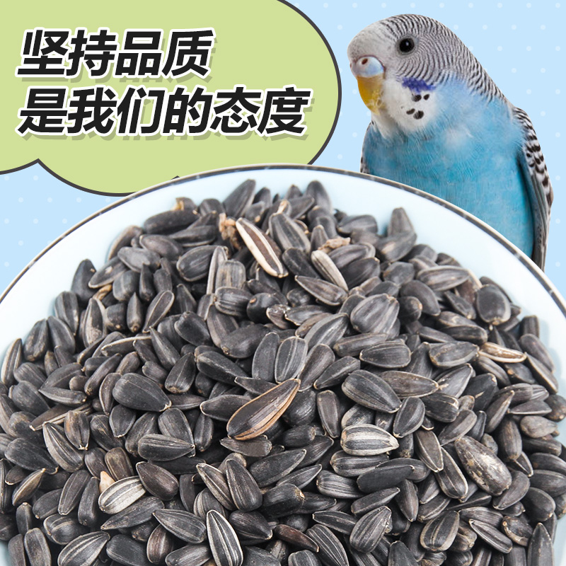鹦鹉饲料小瓜子黑珍珠仓鼠粮食零食小黑瓜子磨牙吃的小食物高清大图