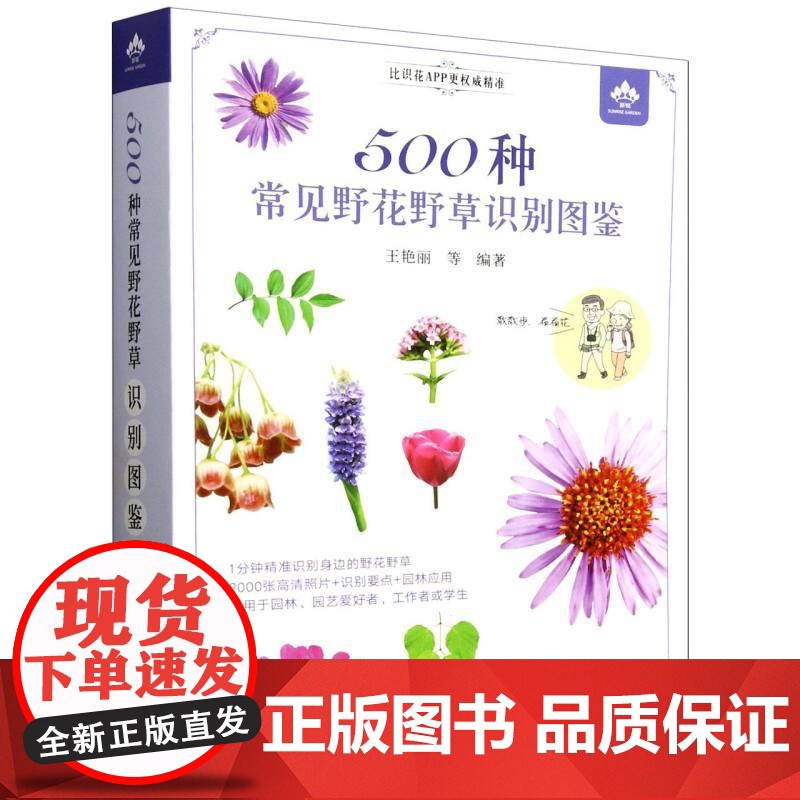 500种常见野花野草识别图鉴 彩图典藏版 贺风春 常见园林花草树木植物野花野外识别与鉴赏手册速查图谱图鉴通俗易懂的百科全高清大图