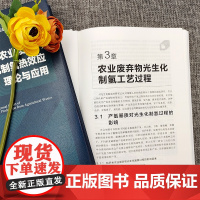 农业废弃物光生化制氢热效应理论与应用 农业废弃物光生化制氢热效应领域的高水平专著 国际上制氢技术的新进展 出版基金重点项