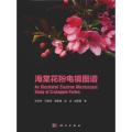 海棠花粉电镜图谱