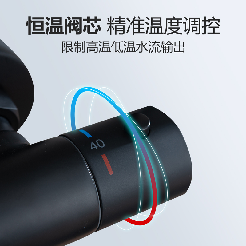 [官方配送]东鹏卫浴(DONG PENG)花洒套装家用精铜淋浴喷头沐浴恒温花洒增压可升降恒温淋浴花洒喷头挂墙式
