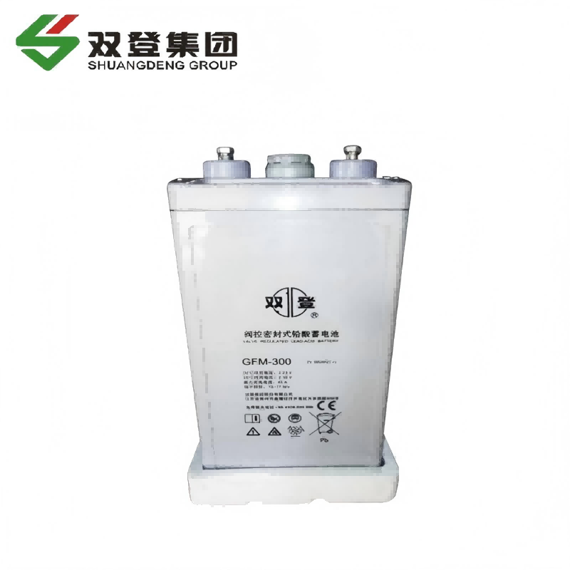 双登铅酸蓄电池GFM-300 含配件