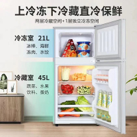 志高(CHIGO) BCD-66A128D双门小冰箱 迷你两门小冰箱 家用冷藏冷冻小型电冰箱(星光银)