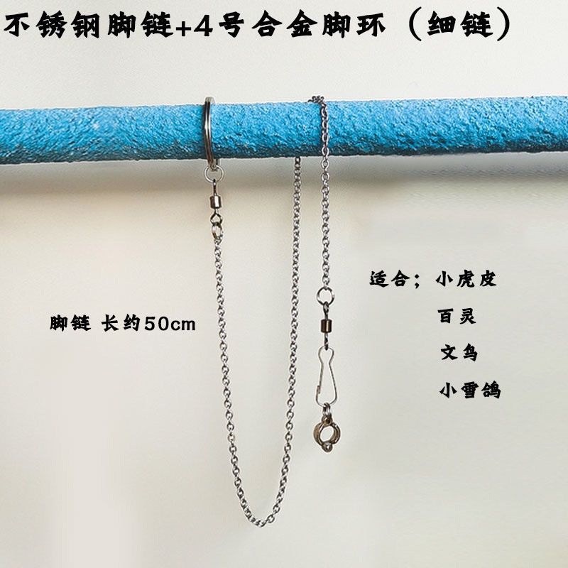 虎皮鹦鹉脚链鸟链子超轻 不锈钢鸟链活扣 玄凤脚链脚环不伤脚站架 细