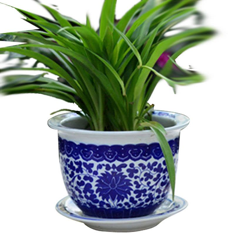 超大 染付六面梅花形植木鉢 盆栽鉢 冰裂纹青花花盆年代物古美術 Amazon.com: YISHUOYZBS Chinoiserie 青花瓷方形花盆景德鎮手繪