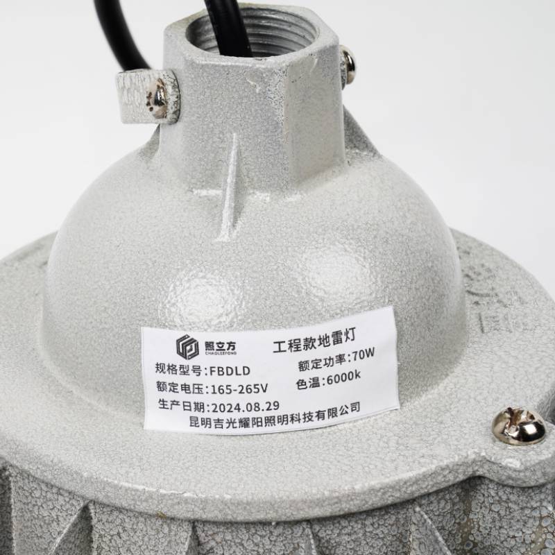 照立方 防爆灯工程款 FBDLD 70W 个高清大图
