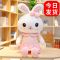 兔子毛绒玩具公仔兔兔抱枕布娃娃儿童玩具女玩偶新年生日礼物女生 淑帽兔-粉色 25cm[单个颜色混发]