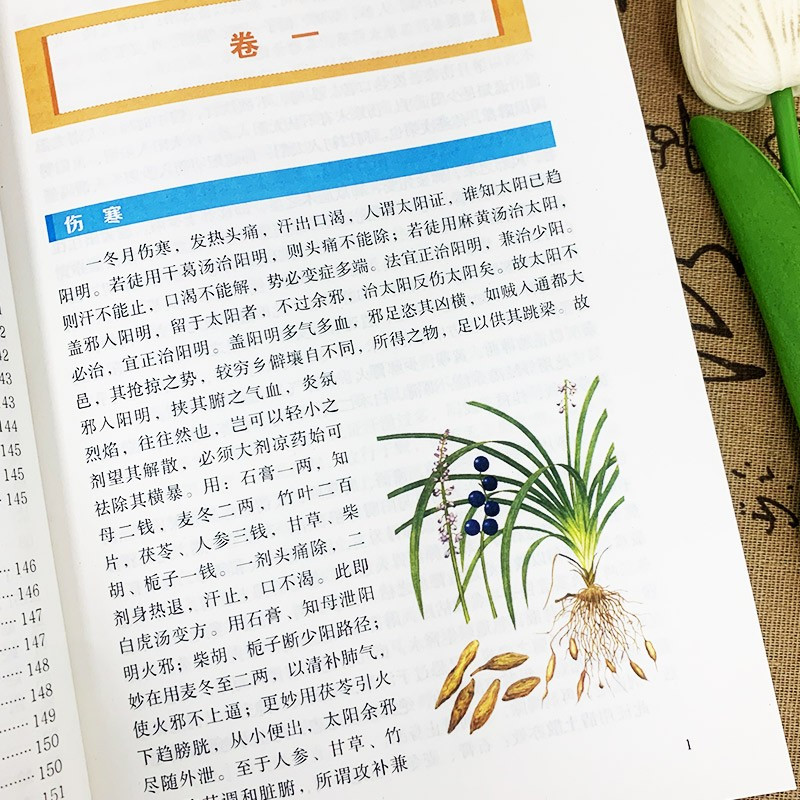 [5册]辨证奇闻+医理真传+千家妙方+肘后备急方+张锡纯 [正版]全2册医理真传 +辨证奇闻陈士铎医学全书传统医学临证施