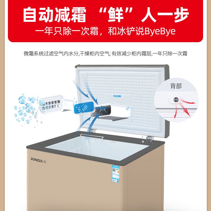 星星(XINGX) 101L 家用冷柜 卧式冷柜 冷藏冷冻转换柜 安全圆角 微霜系统 节能省电 BD/BC-101R图片