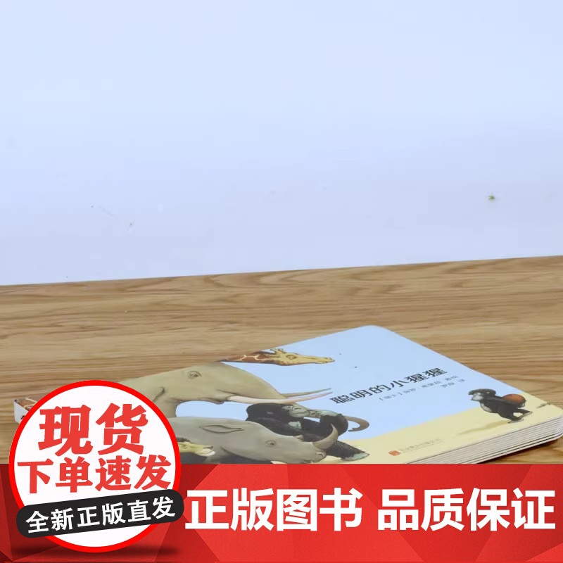 宝贝响当当聪明的小猩猩精装绘本适合1-3岁幼幼纸板图画书小猩猩绘本晚安大猩猩黑猩猩的面包店绘本正版北京联合出版社高清大图