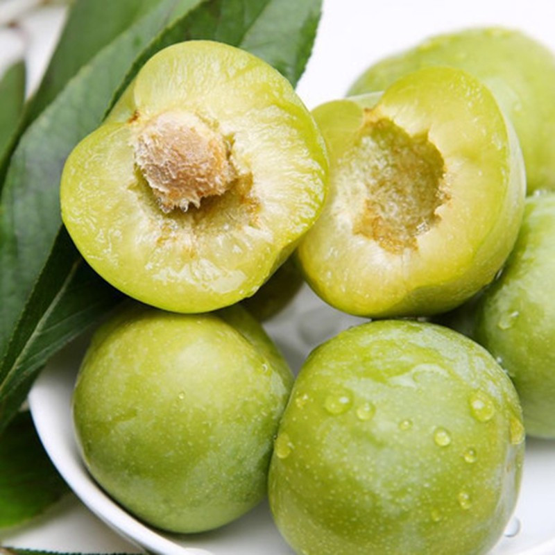 冠町四川青脆李新鲜水果1斤小果尝鲜个头较小视频