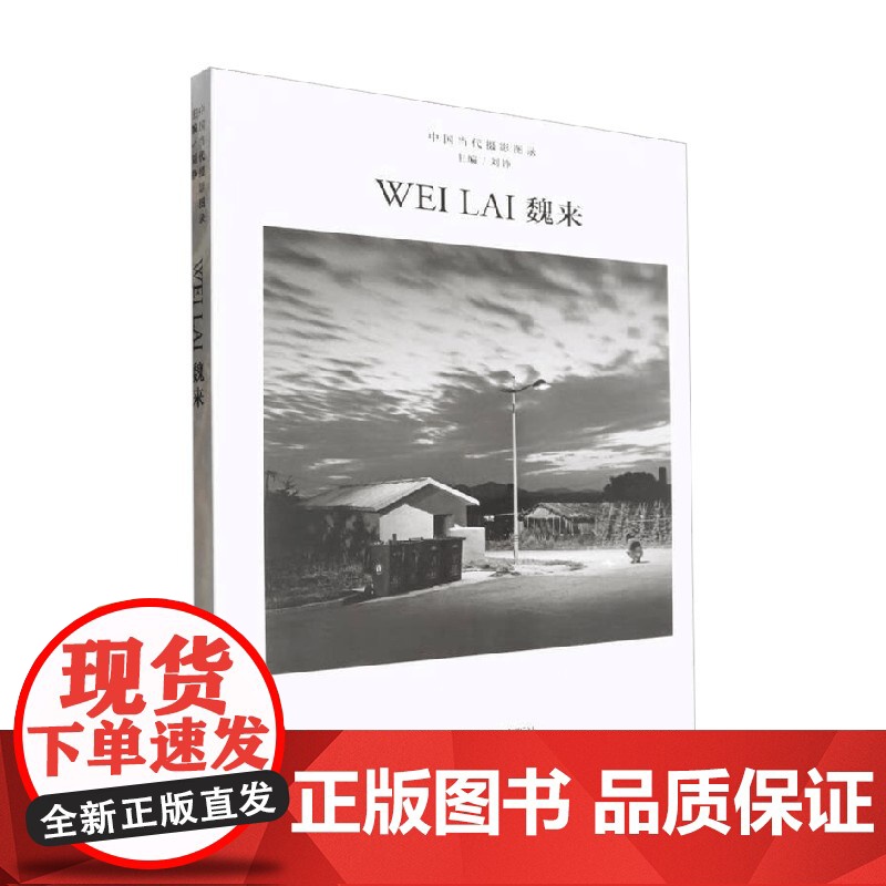 中国当代摄影图录 魏来 刘铮 著 摄影高清大图