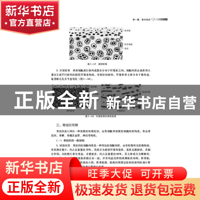 正版 正常人体结构学 刘斌 中国医药科技出版社 9787521426205 书高清大图