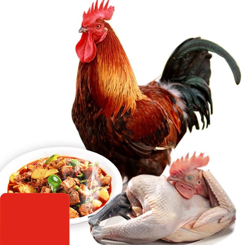 黑脚公鸡 袋装500g