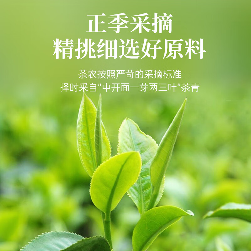 华祥苑 水仙 武夷山岩茶水仙大红罐装 250g高清大图