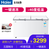 Haier/海尔-40度超低温冰柜商用卧式冷柜冷冻冷藏保鲜柜电子温控 BC/BD-519HEM 519升