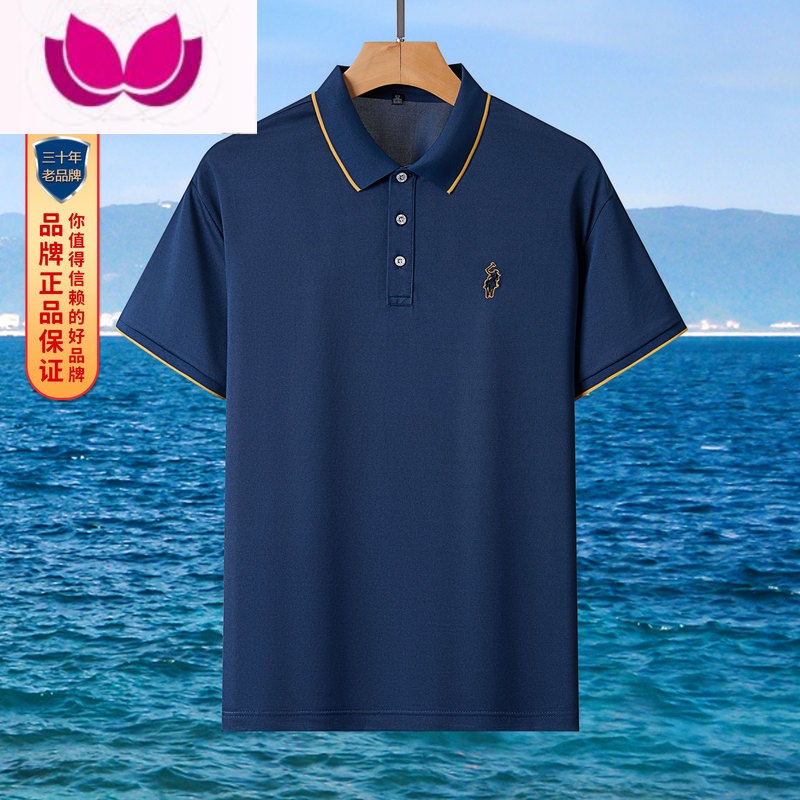 七斓纷格保罗2023年夏季经典商务休闲男士薄款polo衫FG-P666999高清大图