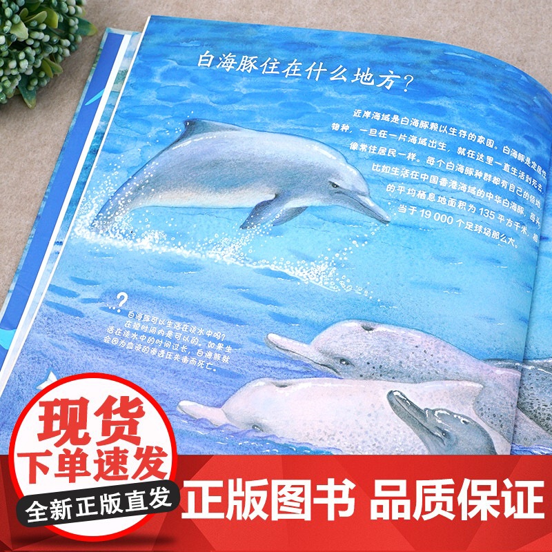 濒危水生动物系列——中华白海豚高清大图