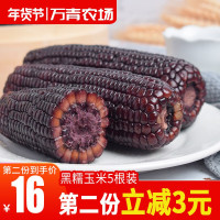2019年黑玉米每根200克共5根东北黏玉米糯玉米新鲜甜糯玉米真空装非转基因