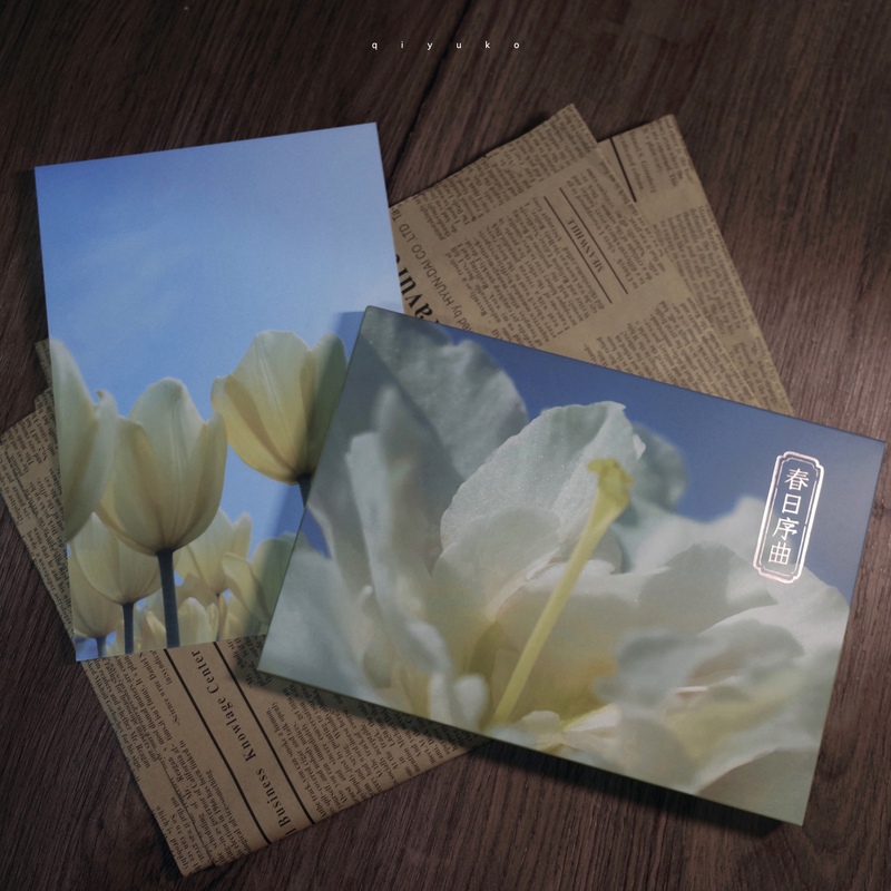 [正版]春日序曲 摄影师@栖聿摄影作品艺术摄影春日春天风光风景明信片 青春文艺小清新礼品装饰贺卡文创产品 浙江人民美术高清大图