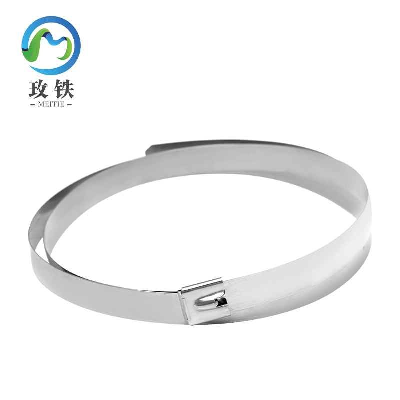 玫铁 自锁式不锈钢扎带 19*1600mm 条高清大图