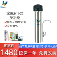 净水器Fairey 台下家用厨房直饮净水器F-IS102自来水滤水器